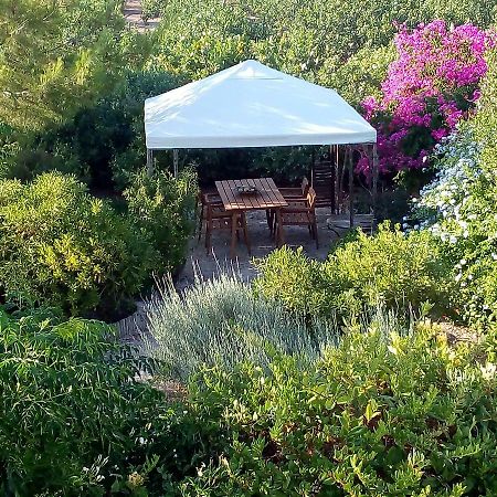 Aegina'S Oasisヴィラ エクステリア 写真