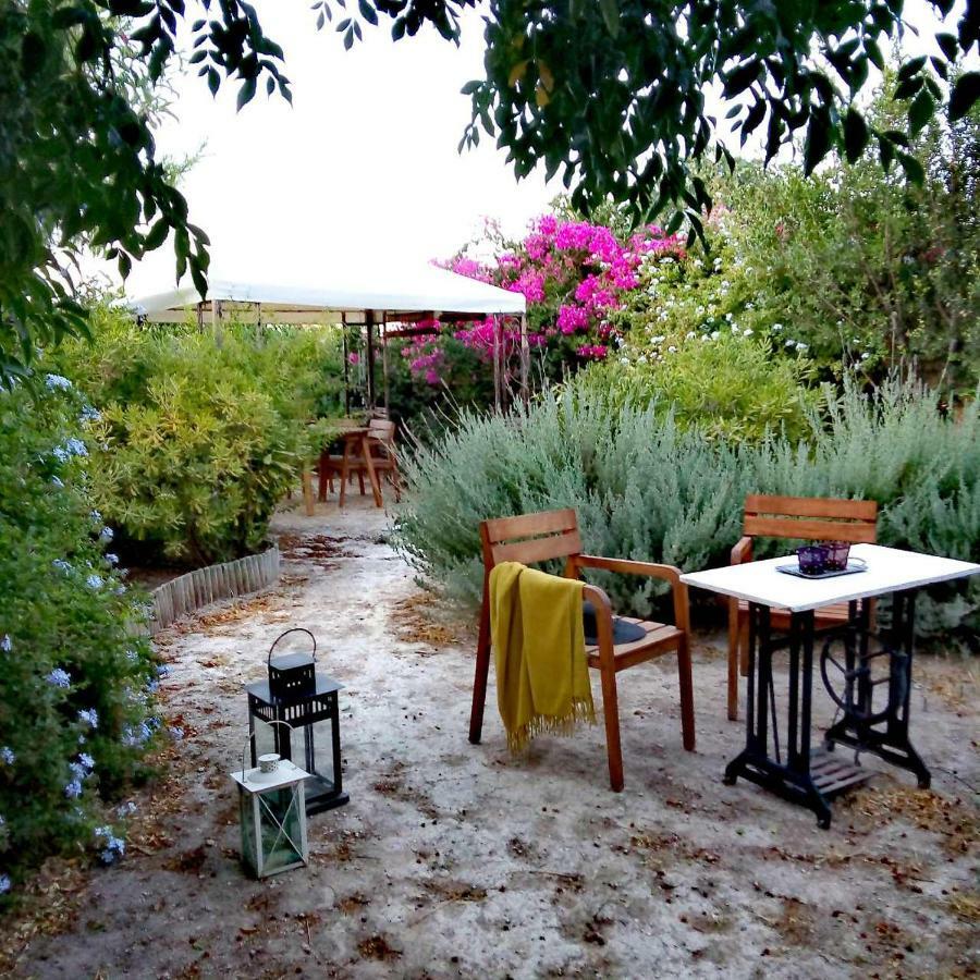 Aegina'S Oasisヴィラ エクステリア 写真
